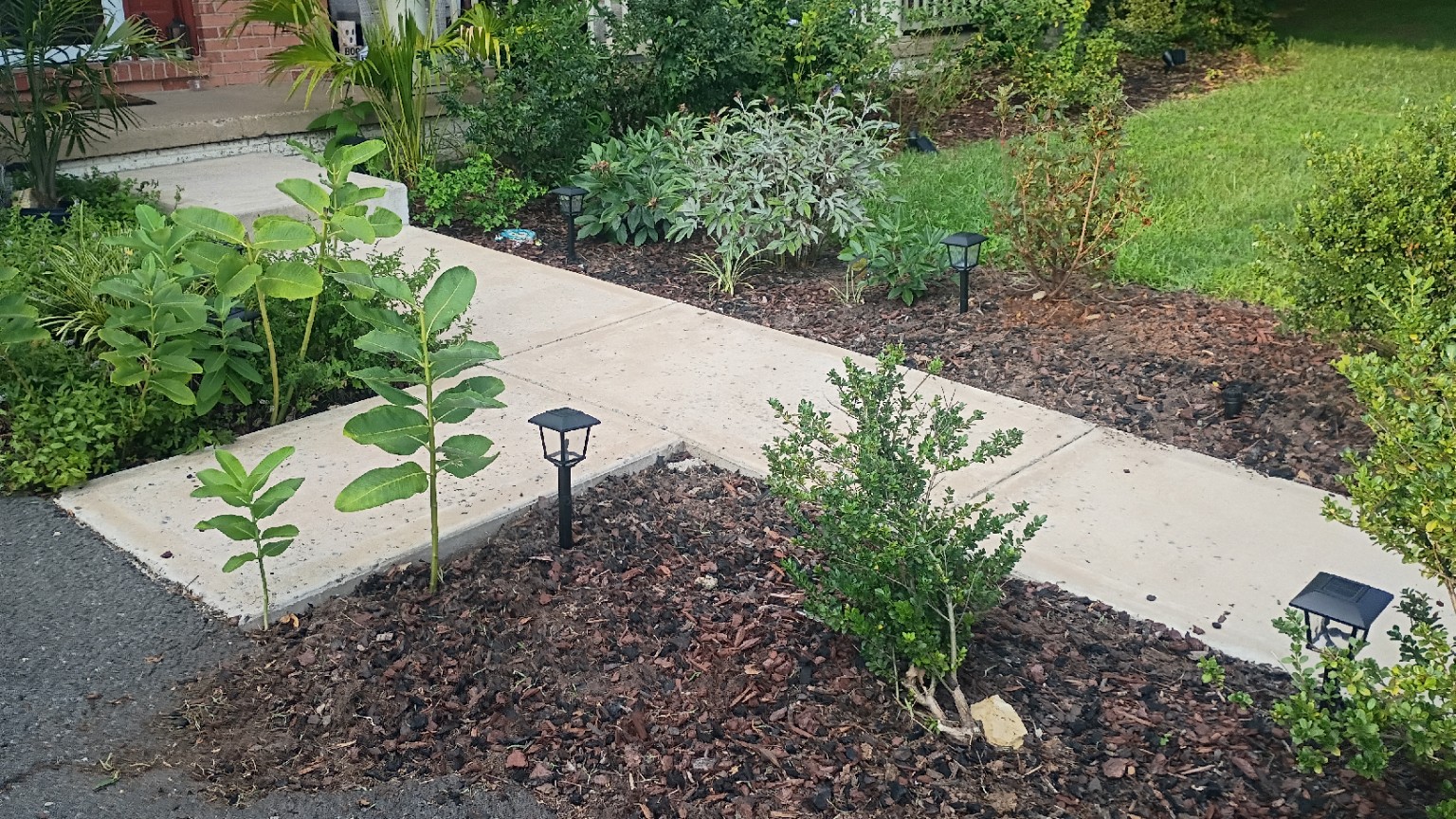 Jose landscaping walkway bed